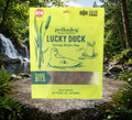 Lucky Duck