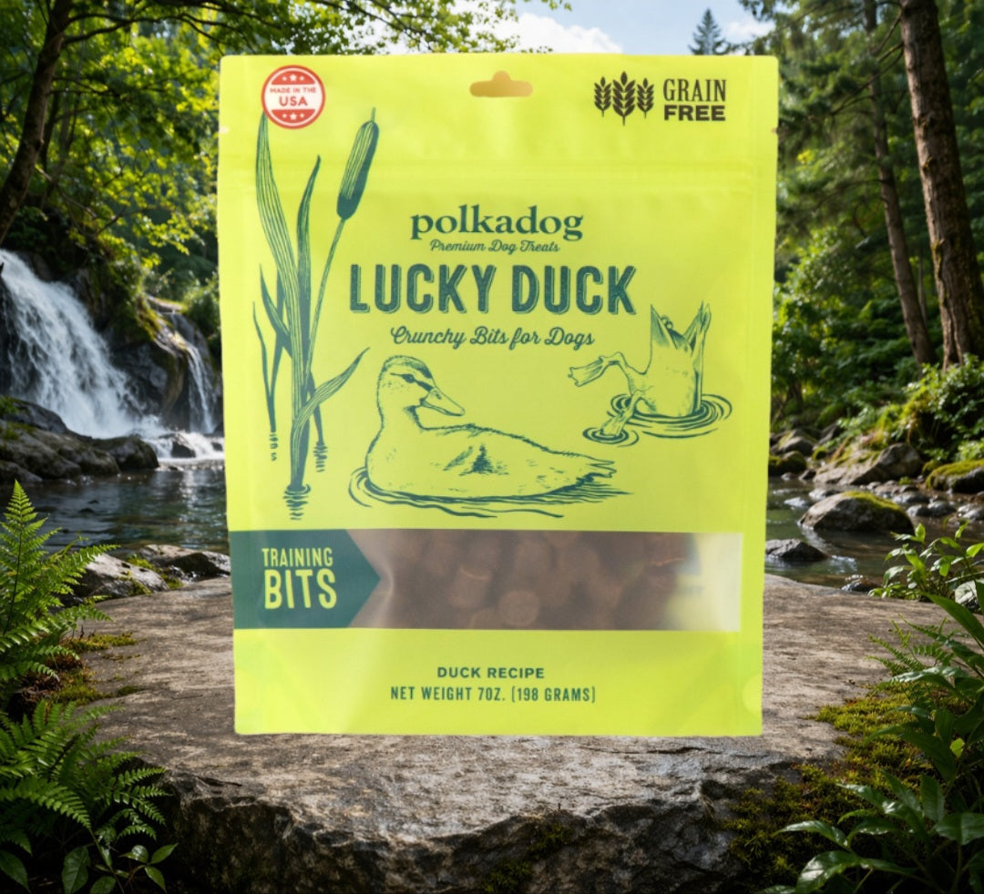 Lucky Duck