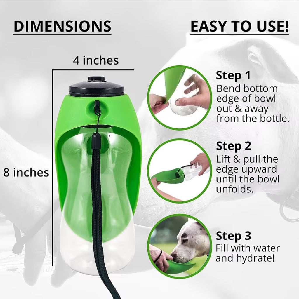 Fold-A-Bowl Portable Pet Water Bottle & Bowl 💧🐶
