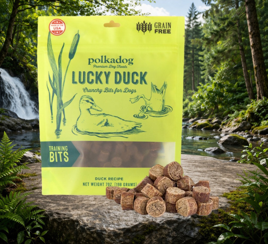 Lucky Duck