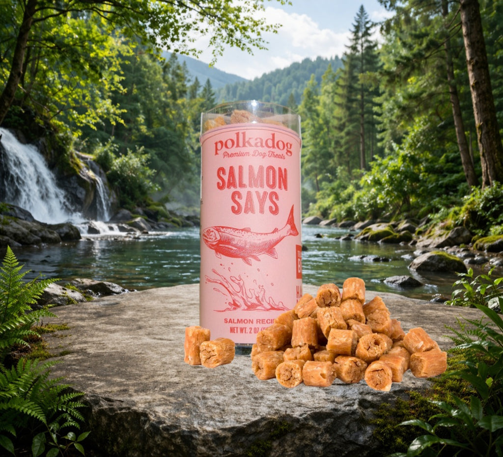 Salmon Says - Mini Tube