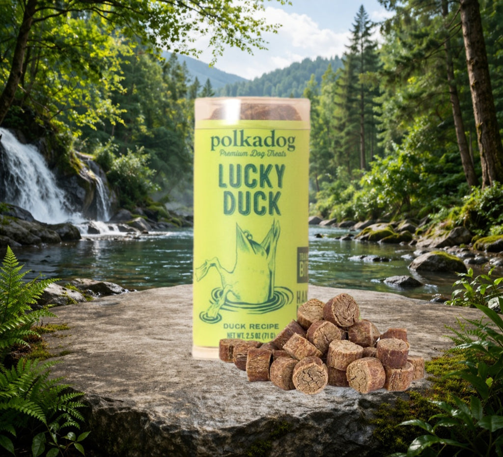 Lucky Duck - Mini Tube